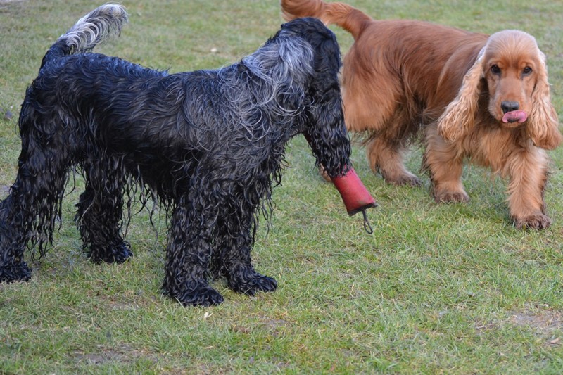 31-Erik a Intruz.JPG